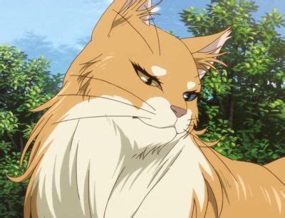 22 Best top 15 cute anime cats images in 2020 | Cute anime cat, Anime cat, Anime