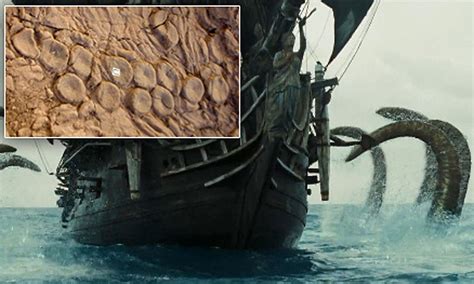 Sea monster: 100ft 'Kraken' exists, claims scientist Mark McMenamin | Daily Mail Online