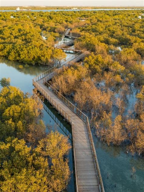 Jubail Mangrove Park | Abu Dhabi | Mangrove, Water architecture ...