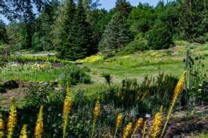 51 Best Botanical Gardens and Arboretums in the USA - Petal Republic