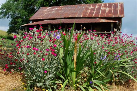 Georgia Farm Bureau advocates for farmers during COVID-19 | Morning Ag Clips