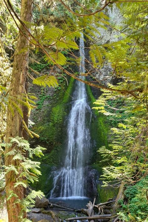 4 Most Accessible Waterfalls in Olympic National Park • Our Globetrotters