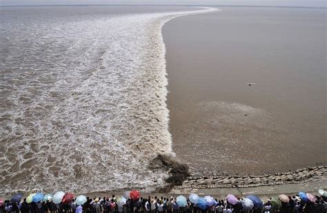 Tidal Bore: When Rivers Flow Against The Current | Amusing Planet