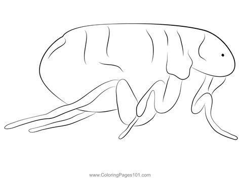 Flea Sleepin Coloring Page for Kids - Free Fleas Printable Coloring Pages Online for Kids ...