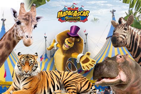 Madagascar Circus a Pomezia dal 25 Aprile al 5 Maggio - Circus Ticket