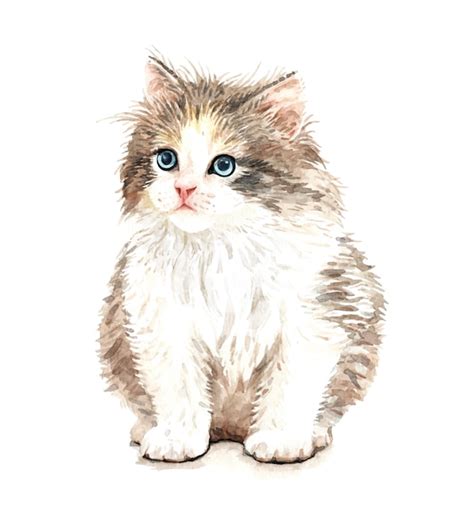 Premium Vector | Cute Watercolor Cat illustration. T-shirt print.