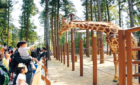 New Zoo Struggling to Attract Visitors