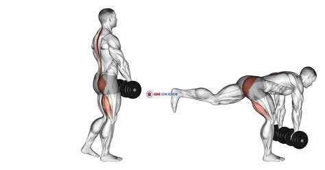 Kettlebell or dumbbell deadlifts - pasegreat