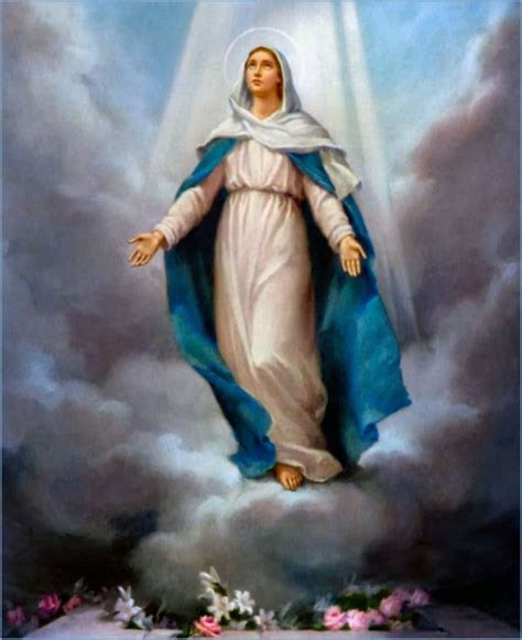 Assumption Of Mother Mary Wallpapers - Wallpaper Cave - DaftSex HD