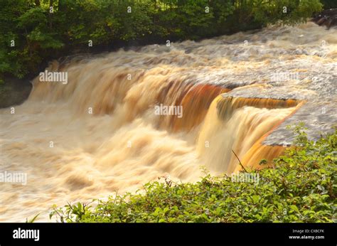 Yorkshire Dales, England, UK Stock Photo - Alamy