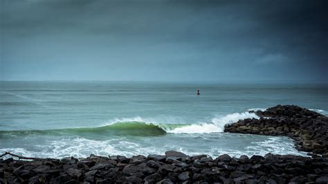 Take a Day Trip to Grays Harbor for Incredible Storm Watching - ThurstonTalk