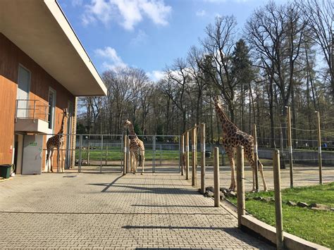 Kraków Zoo | Kids & Families | Krakow