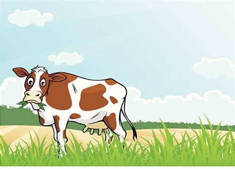 1,800+ Grazing In The Grass Stock Illustrations, Royalty-Free Vector Graphics & Clip Art - iStock