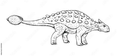 Drawing of dinosaur - hand sketch of Ankylosaurus, black and white ...