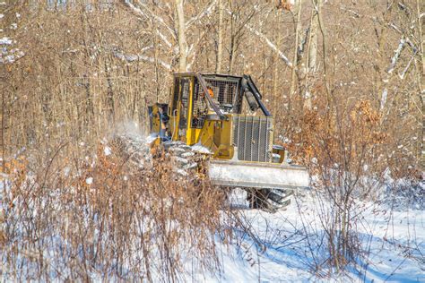 Timber Harvesting - Midwest Hardwood Company