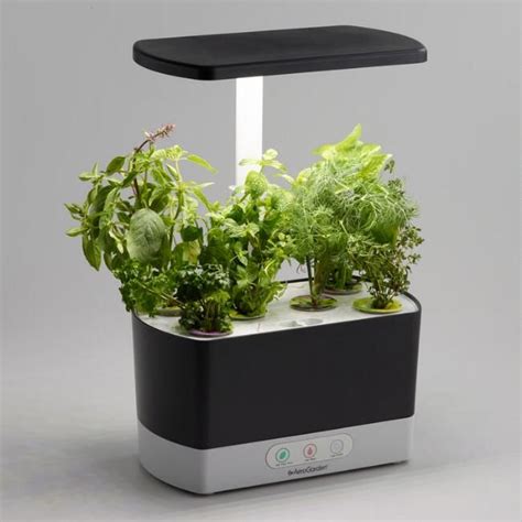 Grow fresh herbs indoors with the AeroGarden Harvest, a hydroponic ...