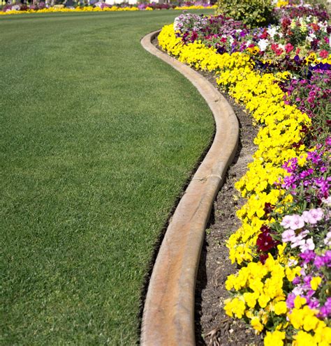 Decorative Edging For Garden Borders | Shelly Lighting