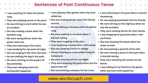 200 Sentences of Past Continuous Tense, Examples of Past Progressive ...