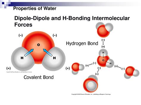 Nonpolar Covalent Bond Water