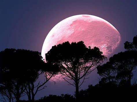 Pink Moon 2020: Know What It Is And When To Watch It In India - Boldsky.com