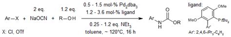 Carbamate synthesis by carbamoylation