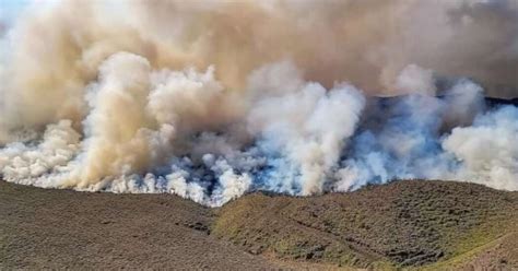 Fast-Moving Brush Fire Burns on Hawaii’s Big Island - The New York Times