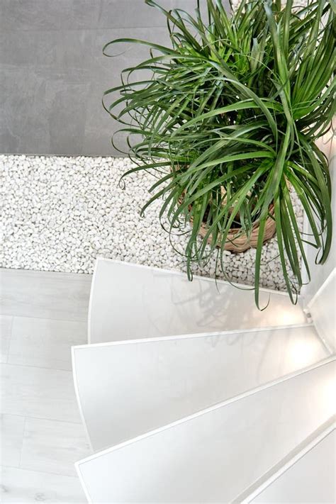Minimalist Interior Design. Stylish Home Plants in Bedroom and ...