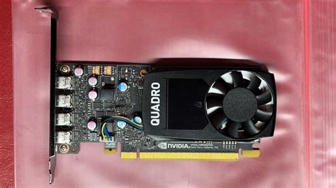 NVIDIA Quadro P600 2GB Professional Video Graphics Card - FRU 00FC961 ...