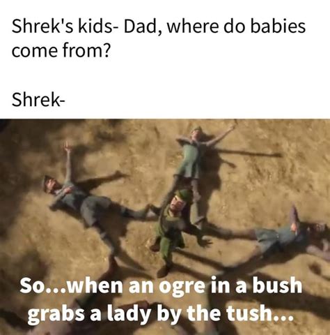 Making a meme from every line in Shrek (2001) Day 481 : r/Shrek