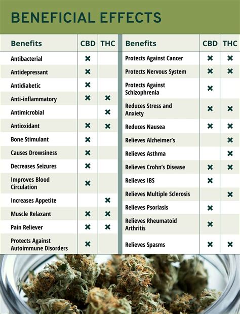 CBD vs. THC: Understand the Differences - Cannabis Connection