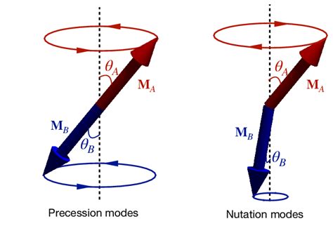 The precession and nutation modes in antiferromagnets. The precession ...