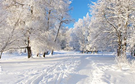 Winter Season Nature wallpaper | 1920x1200 | #27531