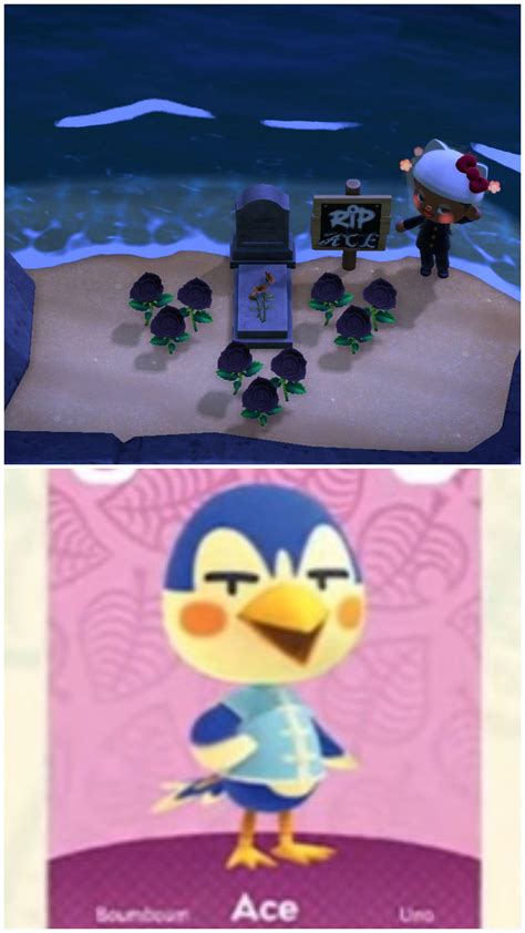 Ace was my favorite villager from OG Animal Crossing, but never came back, so I made this ...