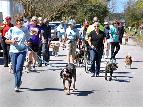 PAWS 2017 Pet Parade