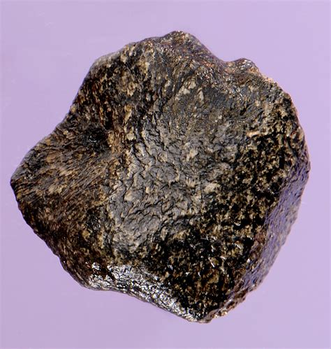 NWA 7397 — Complete Martian Meteorite with Fusion Crust - Auktionen ...