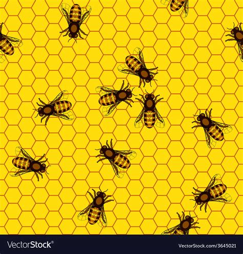 Bee on honeycomb pattern Royalty Free Vector Image