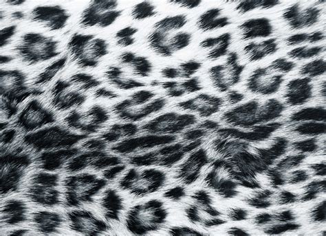 Download White Leopard Skin Print Wallpaper | Wallpapers.com