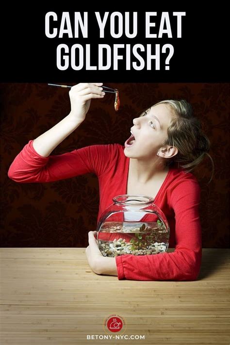 10 Surprising Facts About Goldfish: Can You Eat Them? - Betony