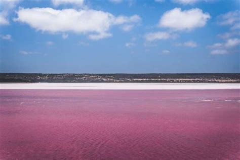 Pink Lake In Australia: Amazing Facts You Need To Know In 2022