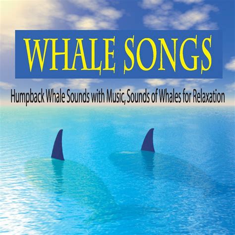 ‎Whale Songs: Humpback Whale Sounds With Music, Sounds of Whales for Relaxation di Robbins ...