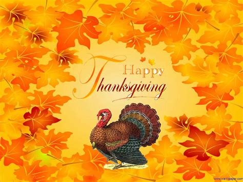 Thanksgiving Turkey Wallpaper - WallpaperSafari