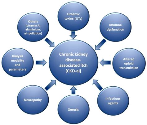 Chronic Kidney Disease Causes