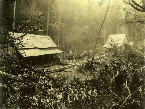 Red Fork Loggin Camp in Limestone Cove Unicoi County Tennessee. Logging the Unaka Mountain area ...