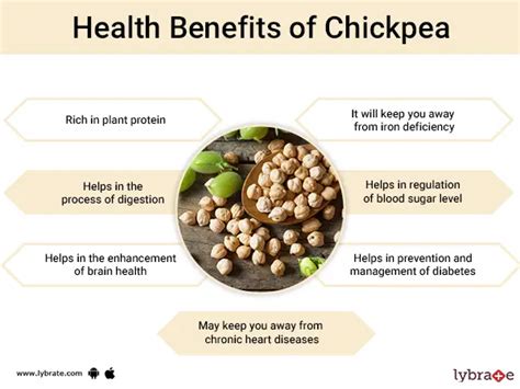 Top 122+ chickpeas benefits for hair best - vova.edu.vn