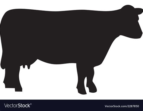 Black cow silhouette Royalty Free Vector Image