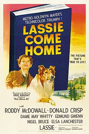 Lassie Come Home Facts for Kids