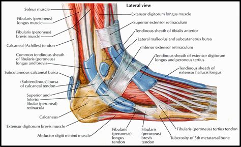 Surviving Tendonitis: Patience You Must Have Kessel RunnerThe Kessel Runner