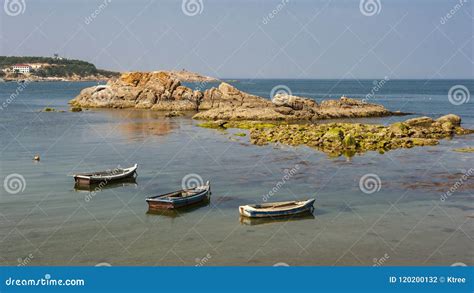 Beautiful Coastline of Weihai Stock Photo - Image of bays, flowers: 120200132