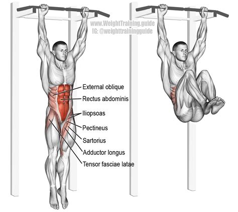 Hanging leg and hip raise. One of the most effect core exercises. See ...