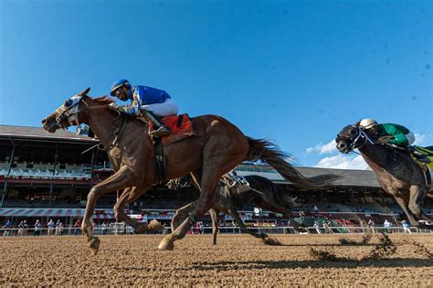 America's Best Horses for Nov. 2 | America's Best Racing